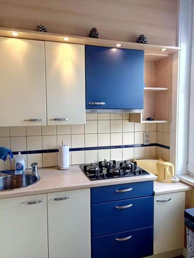 בלנקנברג Villa Jean Gezellig Appartement Met Zeezicht מראה חיצוני תמונה